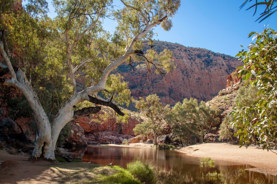 Ormiston Gorge waterhole is another superb and peaceful spot.